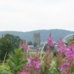 tower view through wild floers