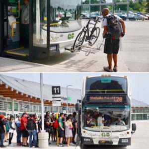 You mean I could have taken the bus?