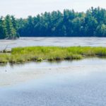 Lack scene between Newboro and Kingston