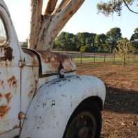 Beer of the day, resting on an old International truck