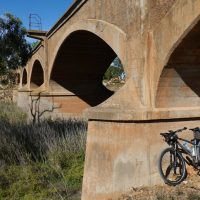 Lexie posing at the railway bridge at Reedy Creek