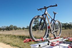 Lexie taking it easy today