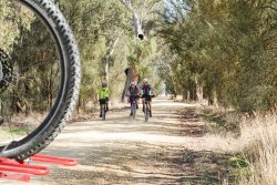 Riders on the road to Edenhope