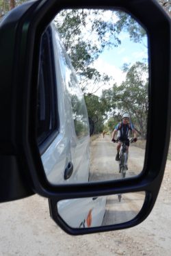 In my mirror today …