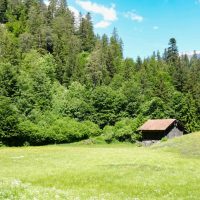 A sweet meadow, on the way up to Versam