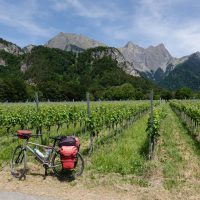 Vineyards in Switzerland
