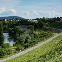 Banks of the Rhein, Rheinau