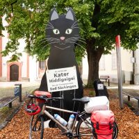 Cat art in Bad Säckingen