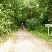 Forest path - a quiet zone (no motors!)
