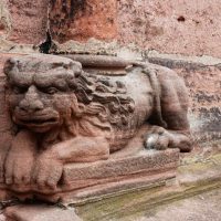 Lions the size of moggies defending St Faith’s