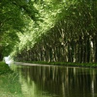 Canal du Rhône au Rhin