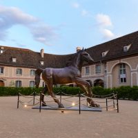 Horse statue at Brasserie les haras