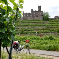 Burg Reichenstein, Joy and grapevines