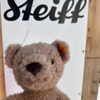 A new travel buddy